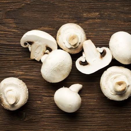 Champignon frais