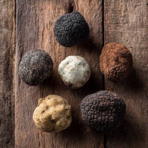 Truffle