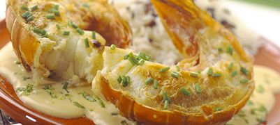 Langouste gratinée