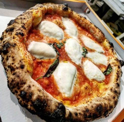 Napolitaine