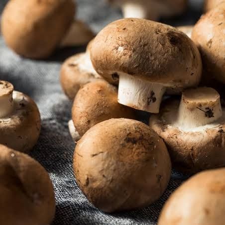 Champignons