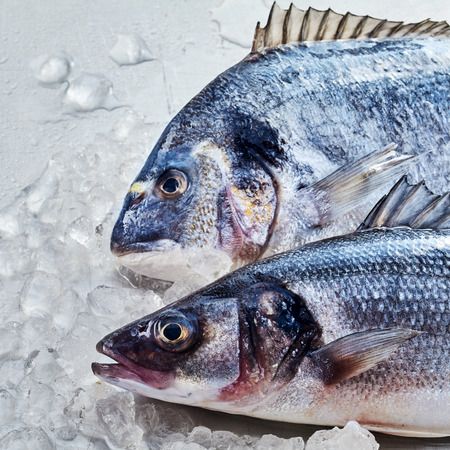 Poisson du jour