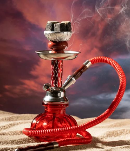 Chicha mia amore